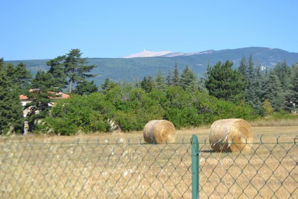 Les Fadas Du Ventoux Sault-de-Vaucluse Luaran gambar